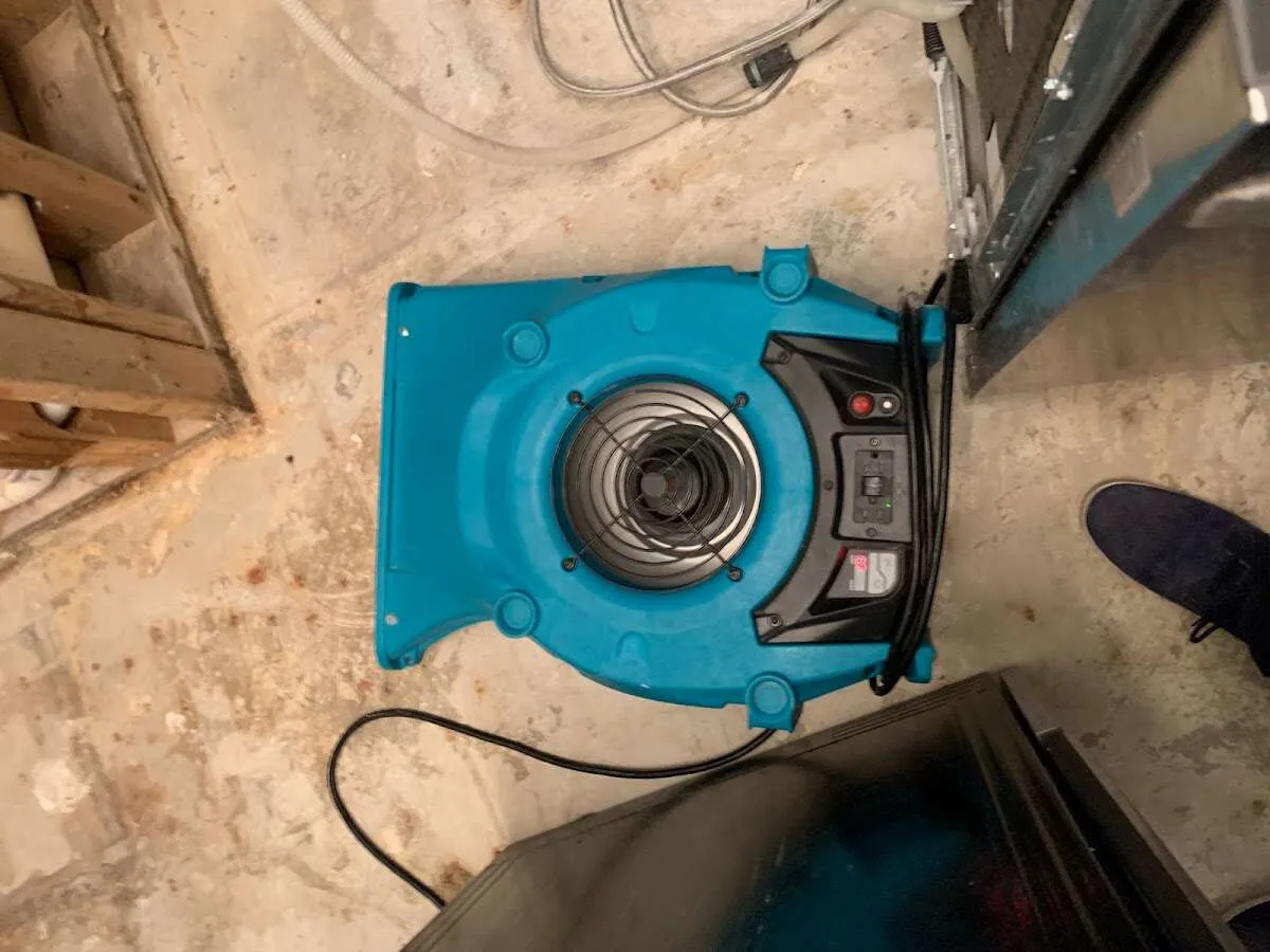 Air mover drying equipment for Mold Remediation & Removal in Carrollwood