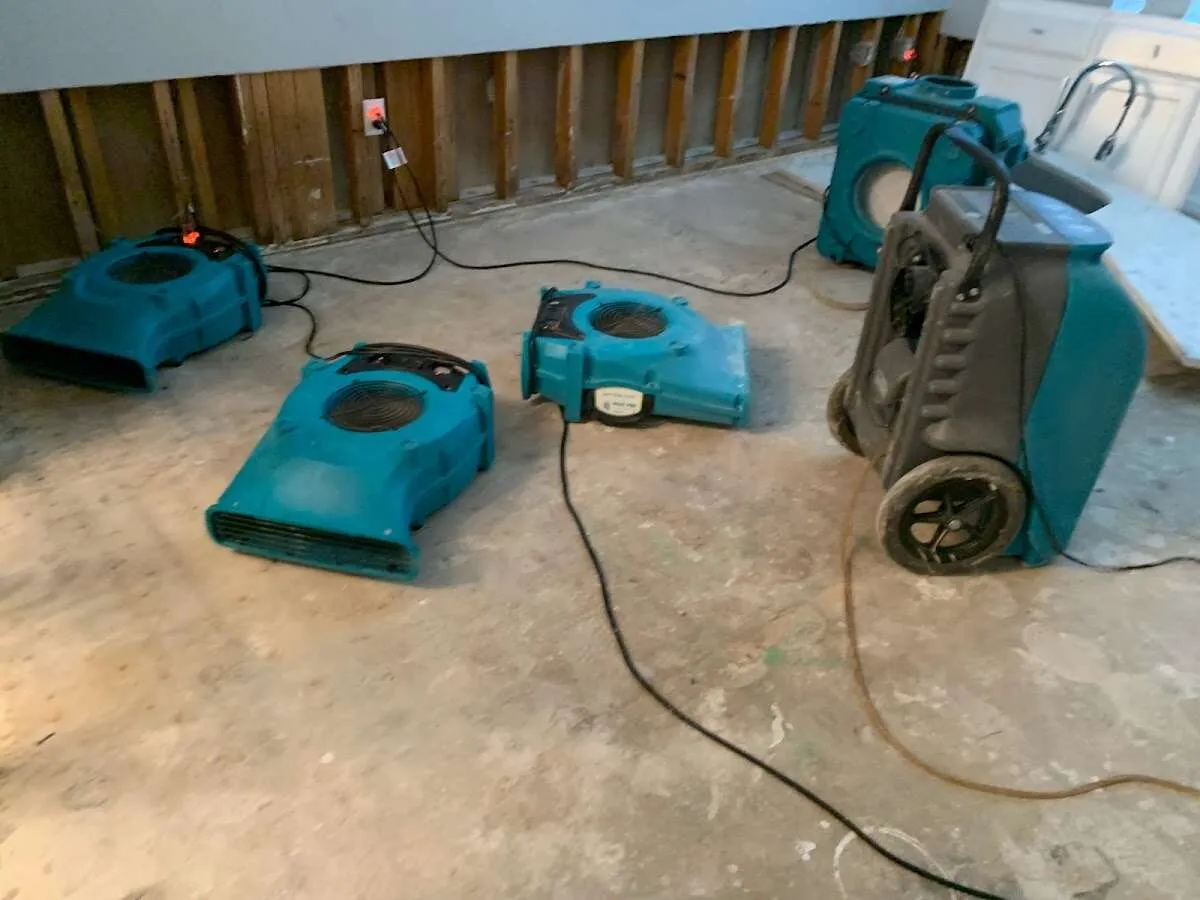 Water Damage Restoration services in Carrollwood, FL